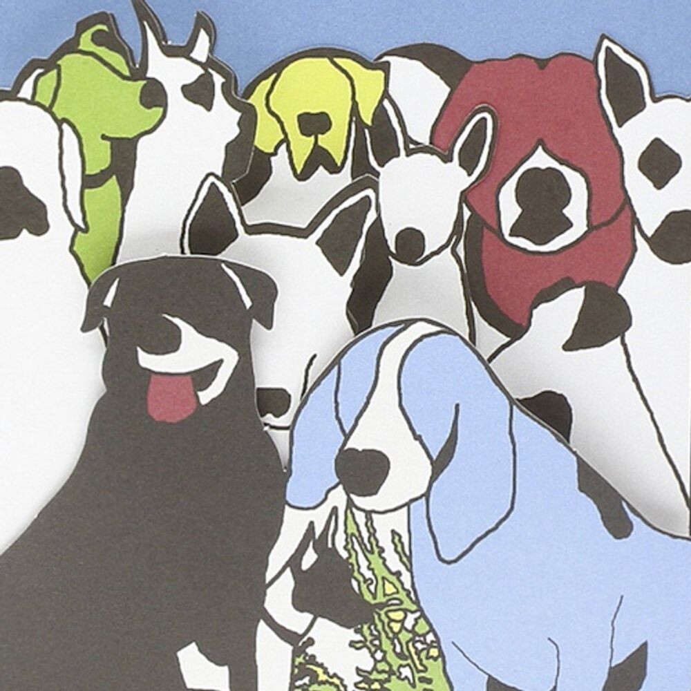 Диск CD Dog Problems - The Format
Диск CD Dog Problems - The Format