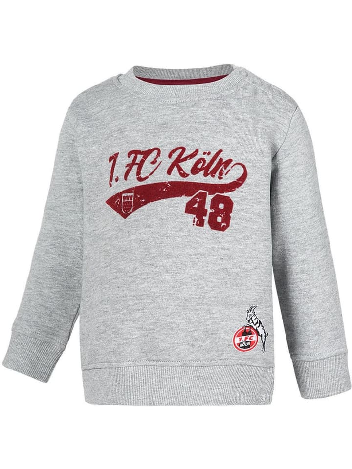 Детская толстовка "Sweatshirt Constantinstrasse" серого цвета Fußballverein 1. FC Köln
Детская толстовка "Sweatshirt Constantinstrasse" серого цвета Fußballverein 1. FC Köln