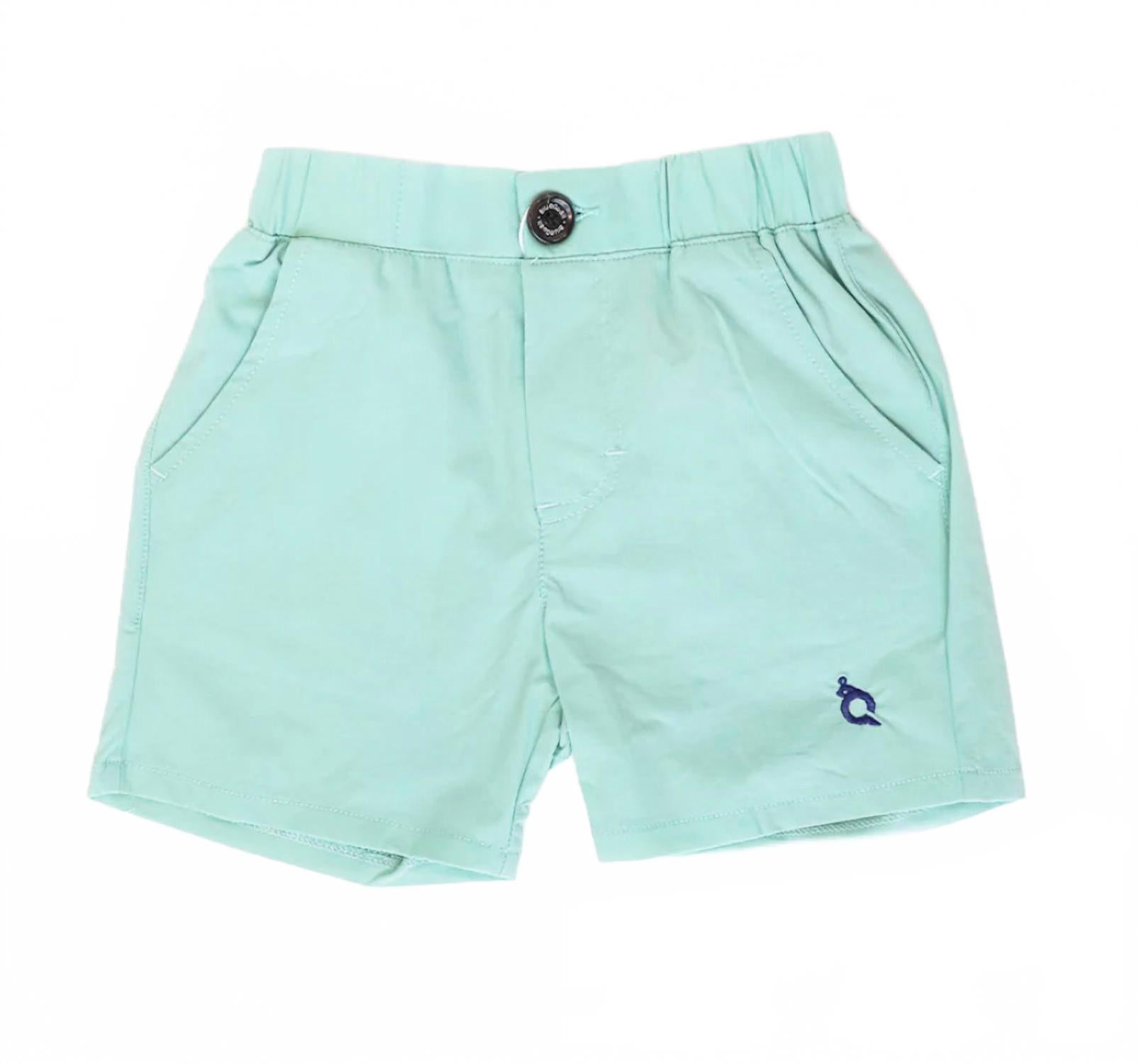 Мальчиковые шорты мятные Blue Quail Clothing Co.
Мальчиковые шорты мятные Blue Quail Clothing Co.