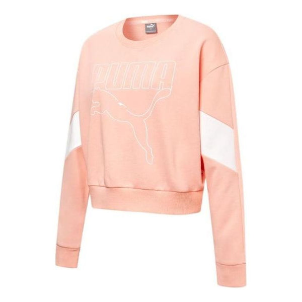 Свитер rebel crew neck sweater 'pink' Puma, розовый
Свитер rebel crew neck sweater 'pink' Puma, розовый