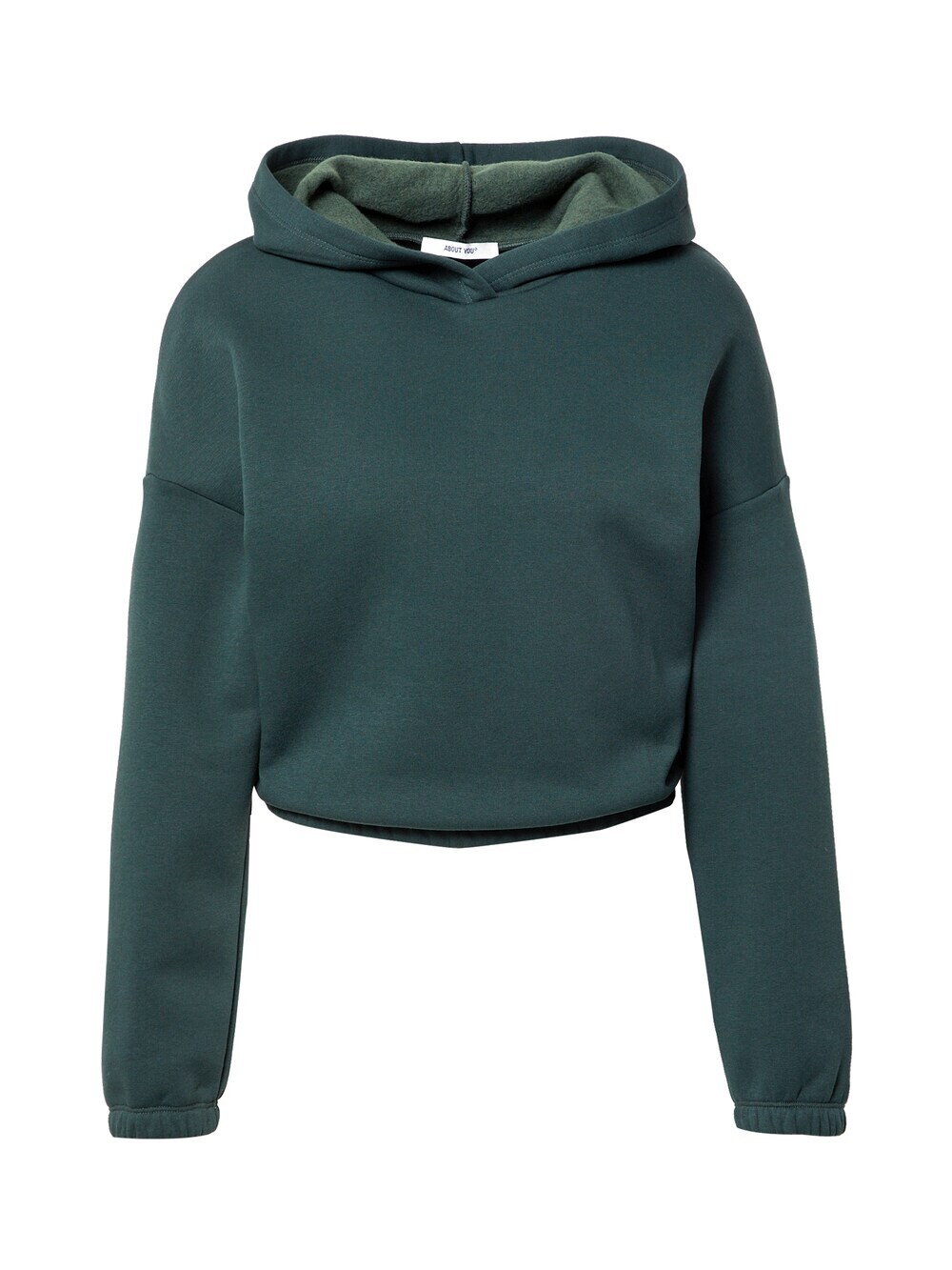Толстовка ABOUT YOU Melisa, темно-зеленый
Толстовка ABOUT YOU Melisa, темно-зеленый