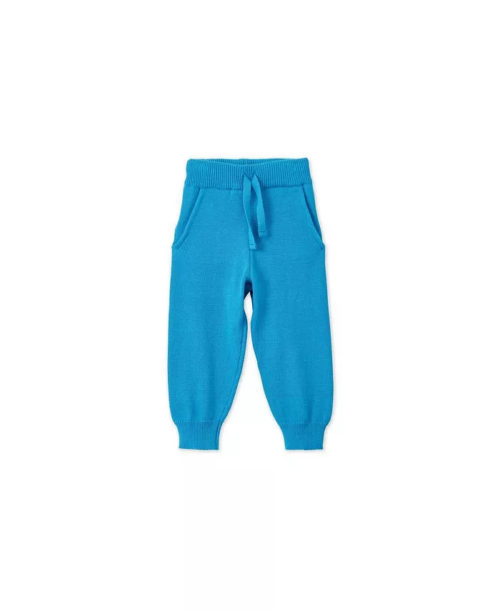 Детские органические трикотажные джоггеры Vild House of Little, синий
Детские органические трикотажные джоггеры Vild House of Little, синий