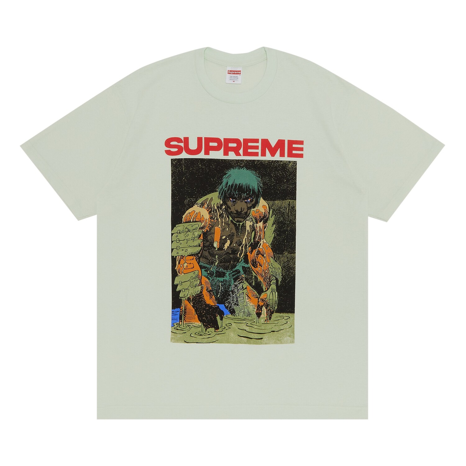 Футболка Supreme Ronin, бледно-зеленая, Зеленый, Футболка Supreme Ronin, бледно-зеленая
Футболка Supreme Ronin, бледно-зеленая, Зеленый, Футболка Supreme Ronin, бледно-зеленая