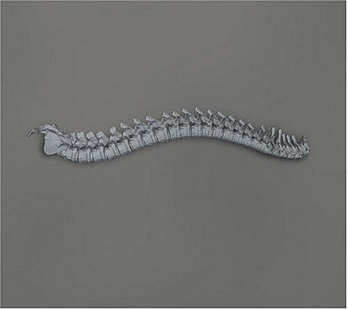 CD диск Kill Memory Crash: When the Blood Turns Black
CD диск Kill Memory Crash: When the Blood Turns Black