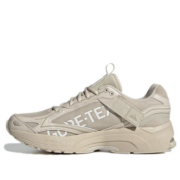 Кроссовки spiritain 2000 gtx Adidas, коричневый
Кроссовки spiritain 2000 gtx Adidas, коричневый