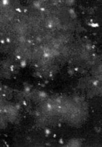 CD диск Paysage D'Hiver: Einsamkeit
CD диск Paysage D'Hiver: Einsamkeit