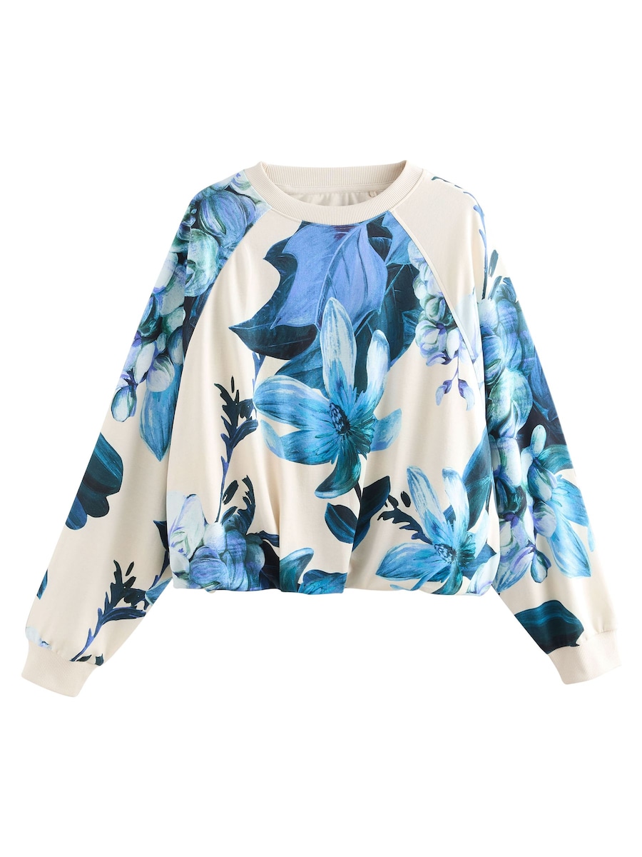 Толстовка Next, лазурный/небесно-голубой
Толстовка Next, лазурный/небесно-голубой