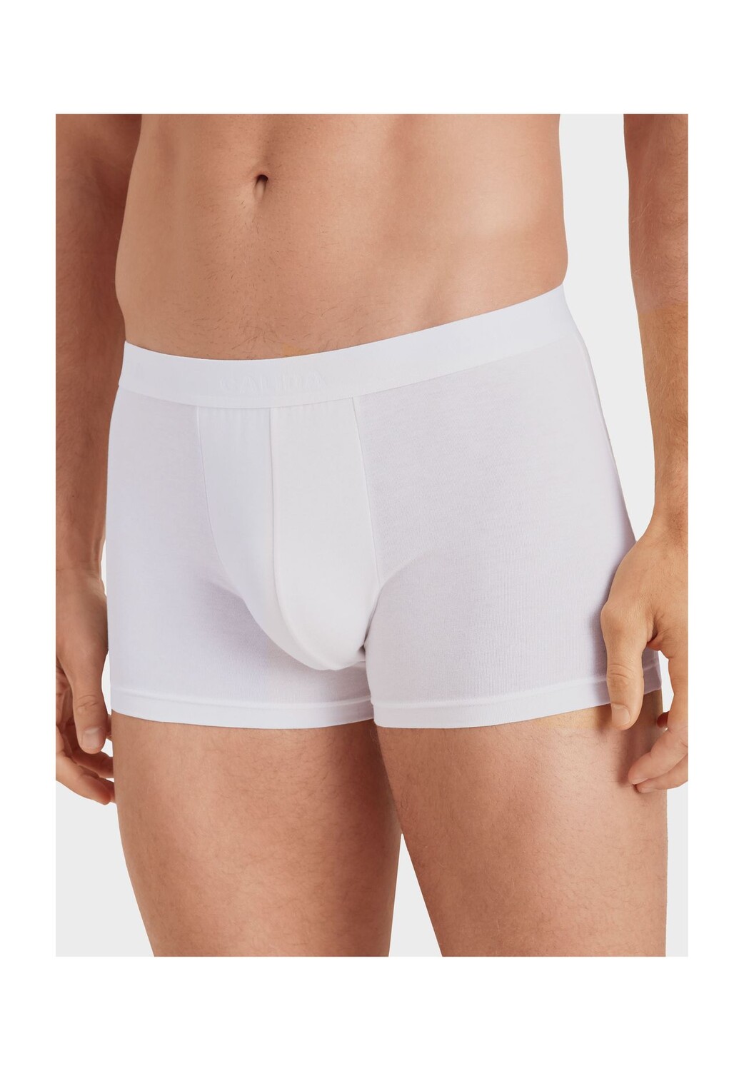 Трусы Evolution, одинарный трикотаж, мягкий эластичный пояс, мужские CALIDA, белый
Трусы Evolution, одинарный трикотаж, мягкий эластичный пояс, мужские CALIDA, белый