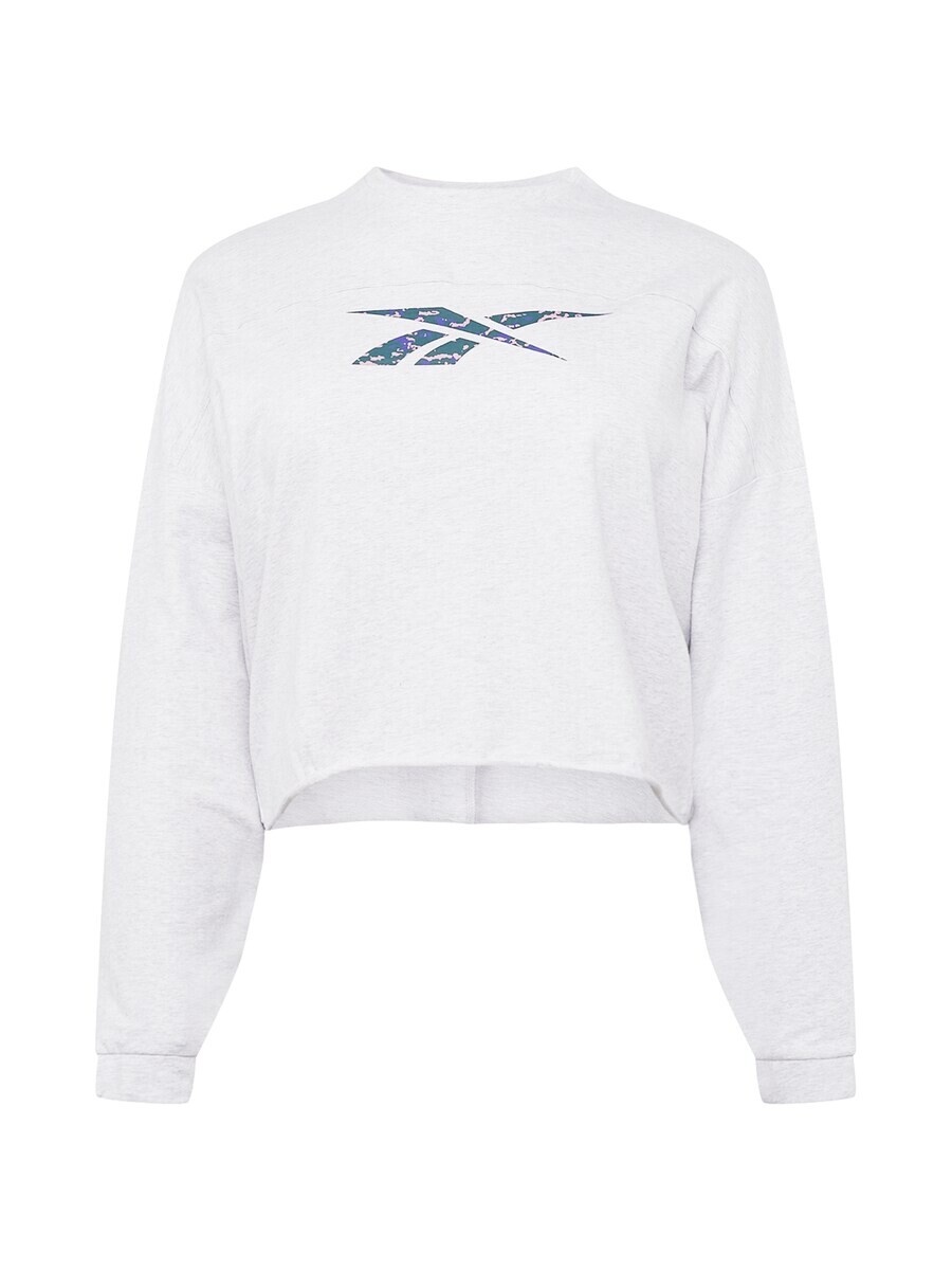 Спортивная толстовка Reebok Athletic, цвет Grey/Light grey
Спортивная толстовка Reebok Athletic, цвет Grey/Light grey
