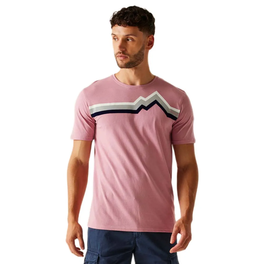 Футболка с коротким рукавом Regatta Cline IX, розовый
Футболка с коротким рукавом Regatta Cline IX, розовый