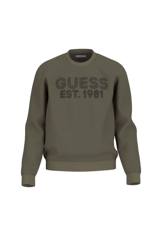 Толстовка пуловер beau Guess, зеленый
Толстовка пуловер beau Guess, зеленый