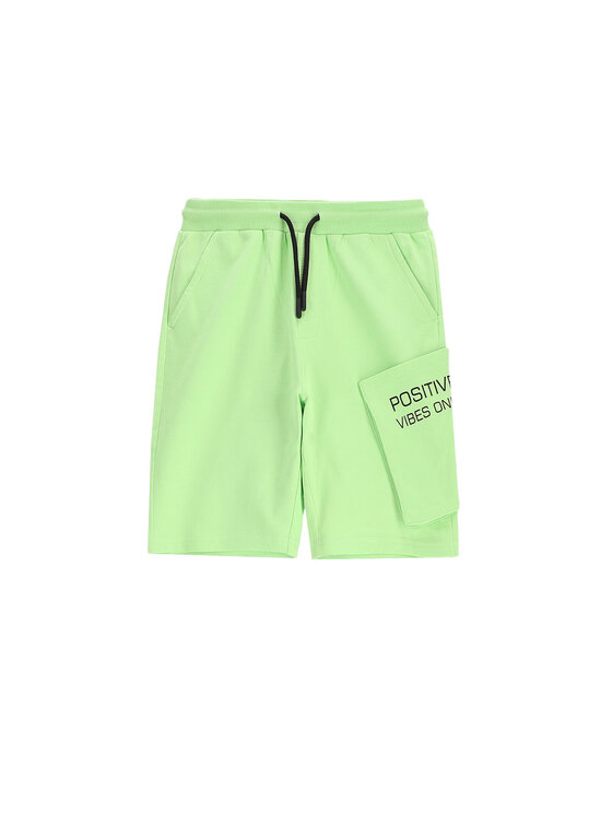 Спортивные шорты обычного кроя WC5120501VBC Coccodrillo, зеленый
Спортивные шорты обычного кроя WC5120501VBC Coccodrillo, зеленый