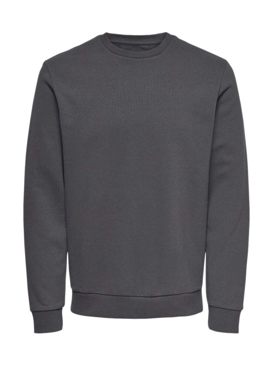 Толстовка Only & Sons Ceres, темно-серый
Толстовка Only & Sons Ceres, темно-серый