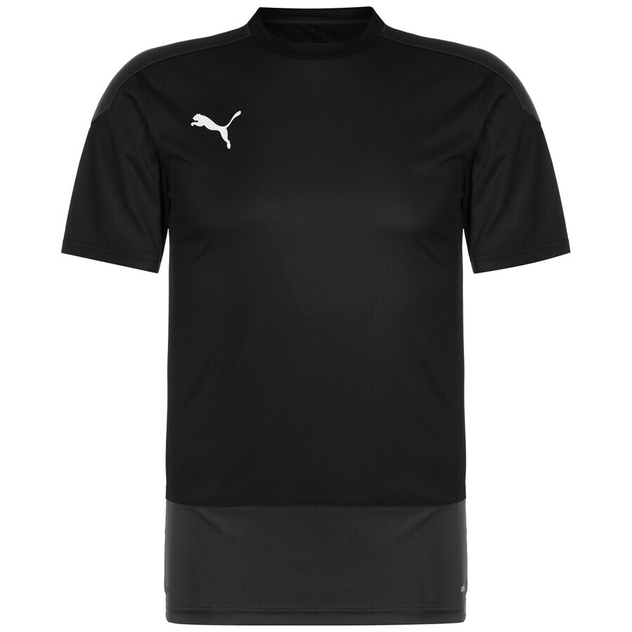 Спортивная футболка PUMA Performance Shirt TeamGoal 23, черный
Спортивная футболка PUMA Performance Shirt TeamGoal 23, черный