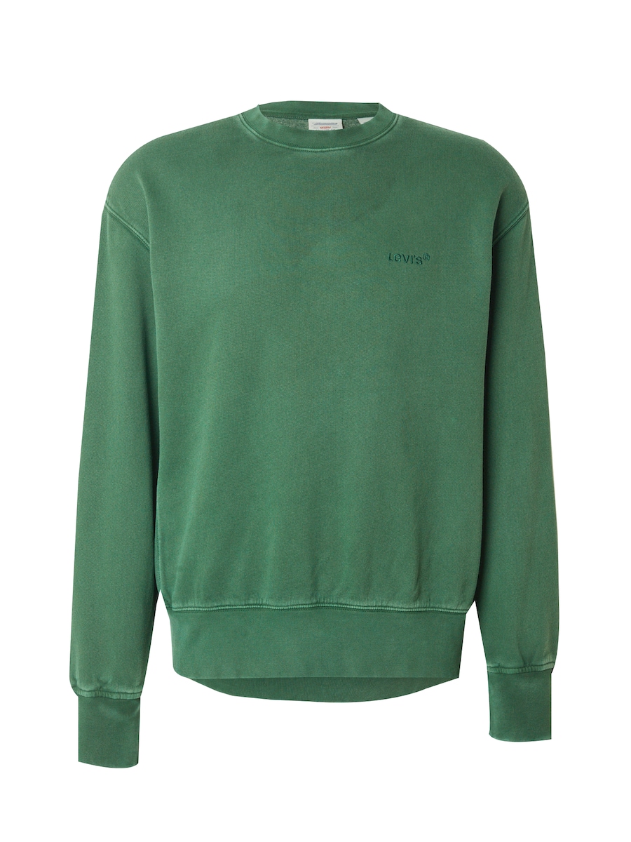 Толстовка LEVI'S AUTHENTIC, зеленый
Толстовка LEVI'S AUTHENTIC, зеленый
