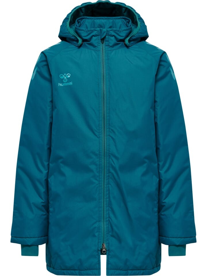 Спортивная куртка Hummel Hmlcore MultisporKinder, цвет blue coral
Спортивная куртка Hummel Hmlcore MultisporKinder, цвет blue coral