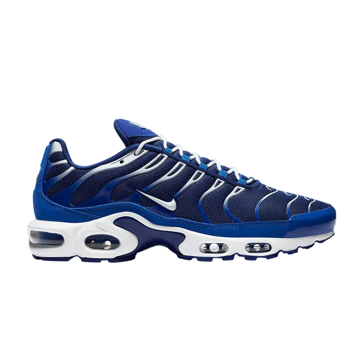 Кроссовки Air Max Plus 'Arctic Chill', синий 
Кроссовки Air Max Plus 'Arctic Chill', синий