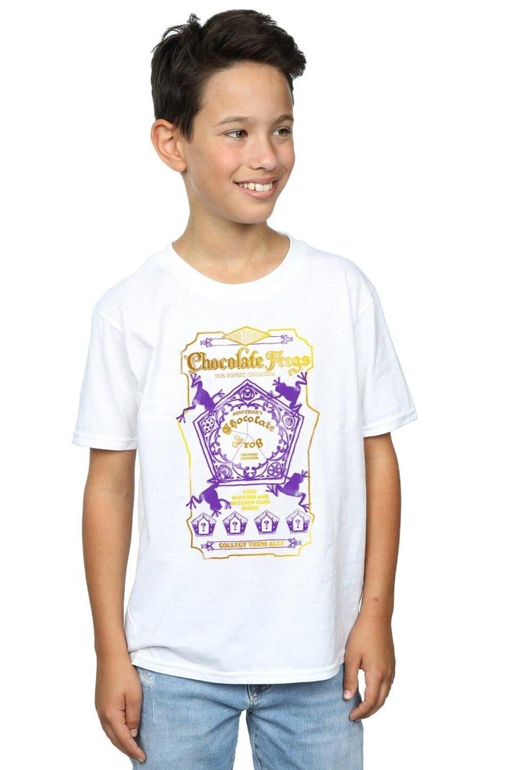 Футболка с цветной этикеткой «Шоколадные лягушки» Harry Potter, белый
Футболка с цветной этикеткой «Шоколадные лягушки» Harry Potter, белый