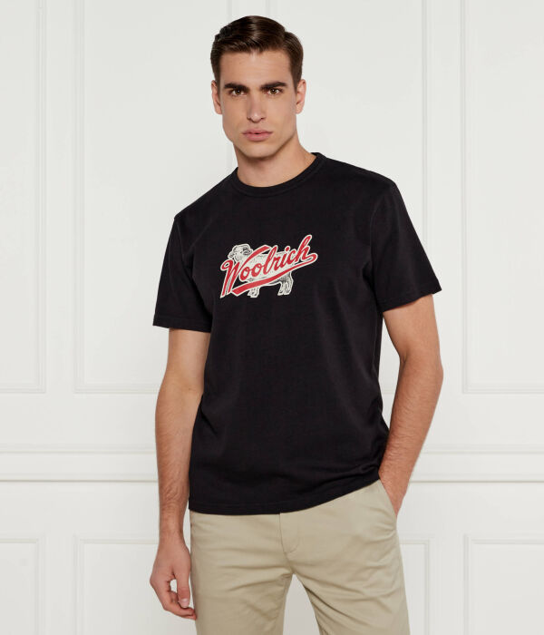 Футболка мужская Woolrich с надписью, черный 
Футболка мужская Woolrich с надписью, черный