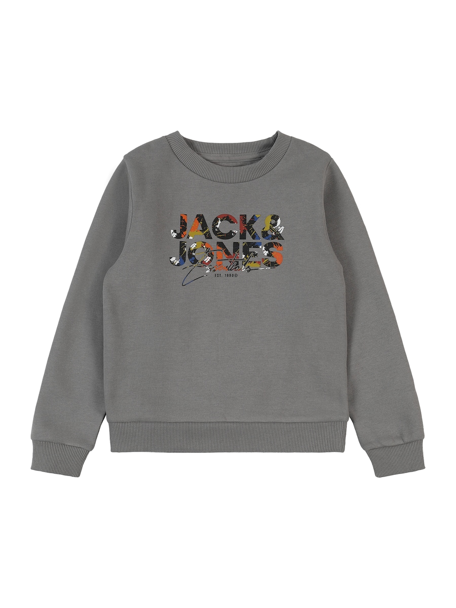 Толстовка JACK & JONES MINI JJGEPLAS, серый
Толстовка JACK & JONES MINI JJGEPLAS, серый
