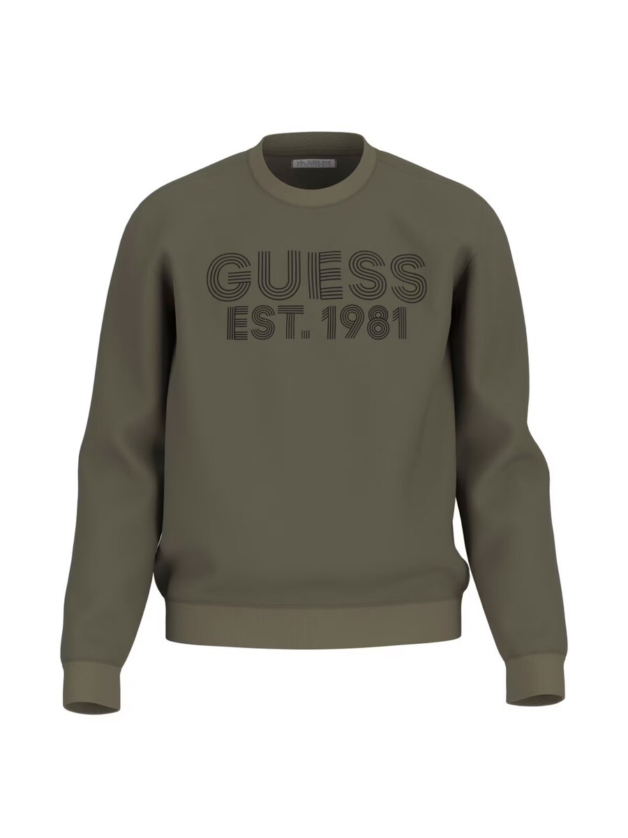 Толстовка GUESS BEAU, зеленый
Толстовка GUESS BEAU, зеленый
