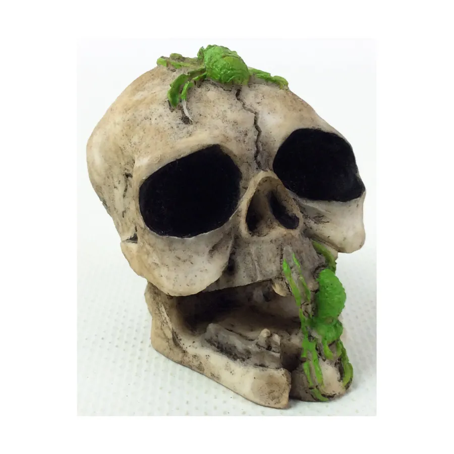 Череп с пауками, Role Playing Games & Accessories (Unidentifiable Publisher)
Череп с пауками, Role Playing Games & Accessories (Unidentifiable Publisher)