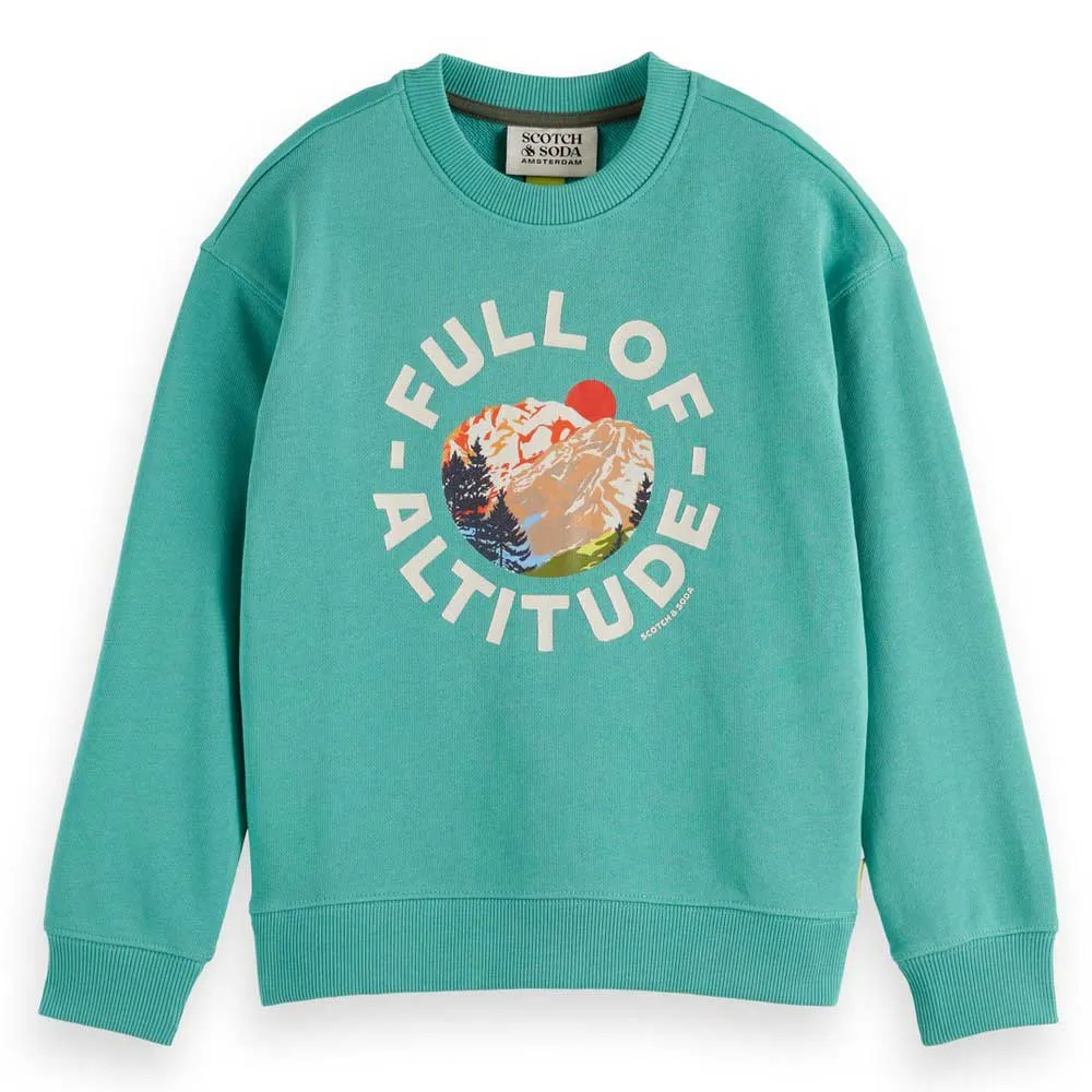 Толстовка Scotch & Soda Loose Fit Front Artwork, зеленый
Толстовка Scotch & Soda Loose Fit Front Artwork, зеленый