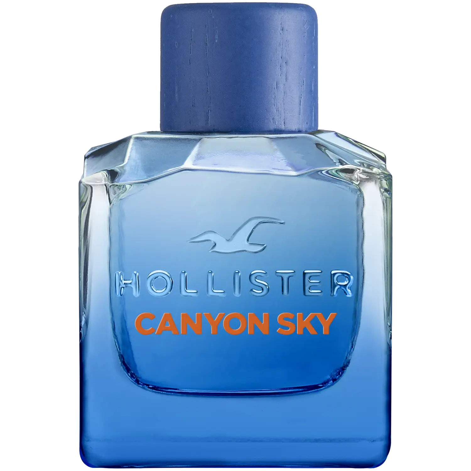 Мужская туалетная вода Hollister Canyon Sky, 100 мл
Мужская туалетная вода Hollister Canyon Sky, 100 мл