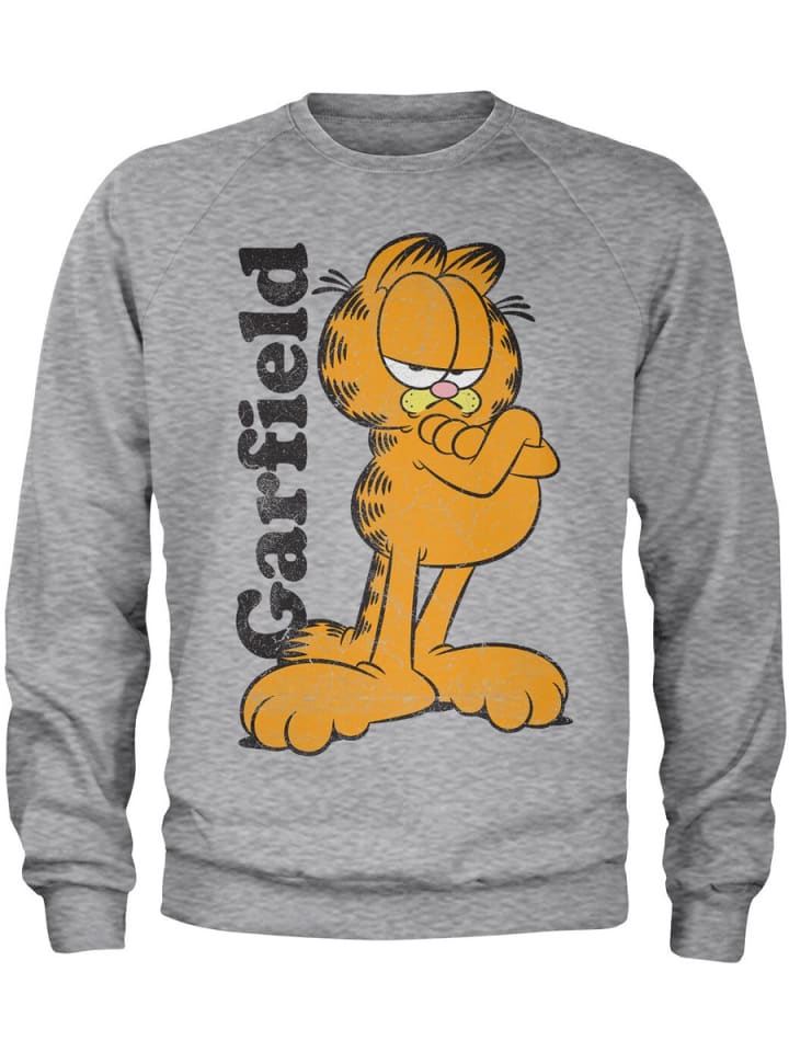 Свитер серого цвета Garfield
Свитер серого цвета Garfield