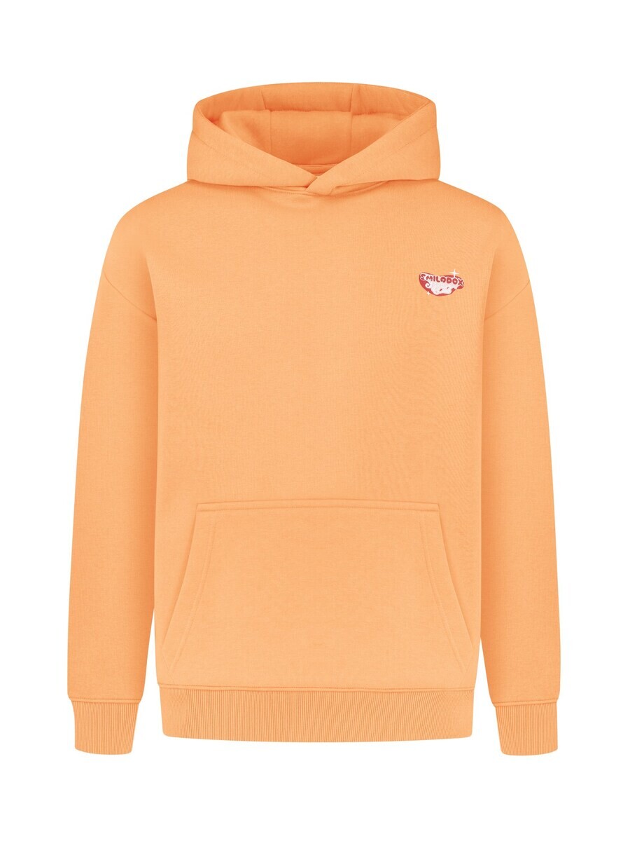 Свитер с капюшоном на молнии Smilodox Athletic Sweatshirt Riva, коричневый
Свитер с капюшоном на молнии Smilodox Athletic Sweatshirt Riva, коричневый