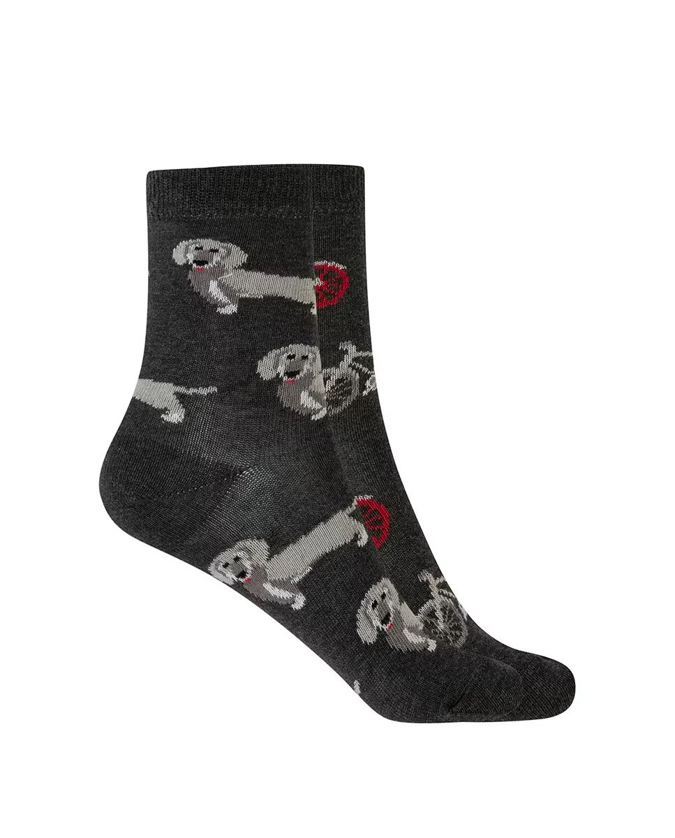 Комплект из 2 пар детских хлопчатобумажных носков с собакой и велосипедом Punto Blanco, серый
Комплект из 2 пар детских хлопчатобумажных носков с собакой и велосипедом Punto Blanco, серый