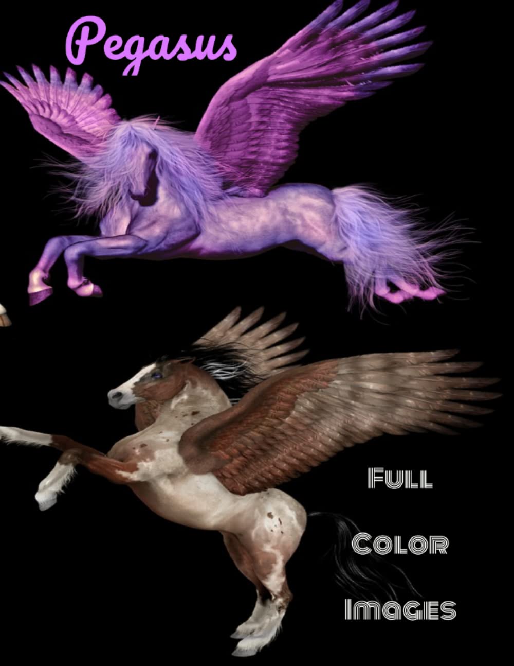 Pegasus - Full Color Images (Independently published)
Pegasus - Full Color Images (Independently published)