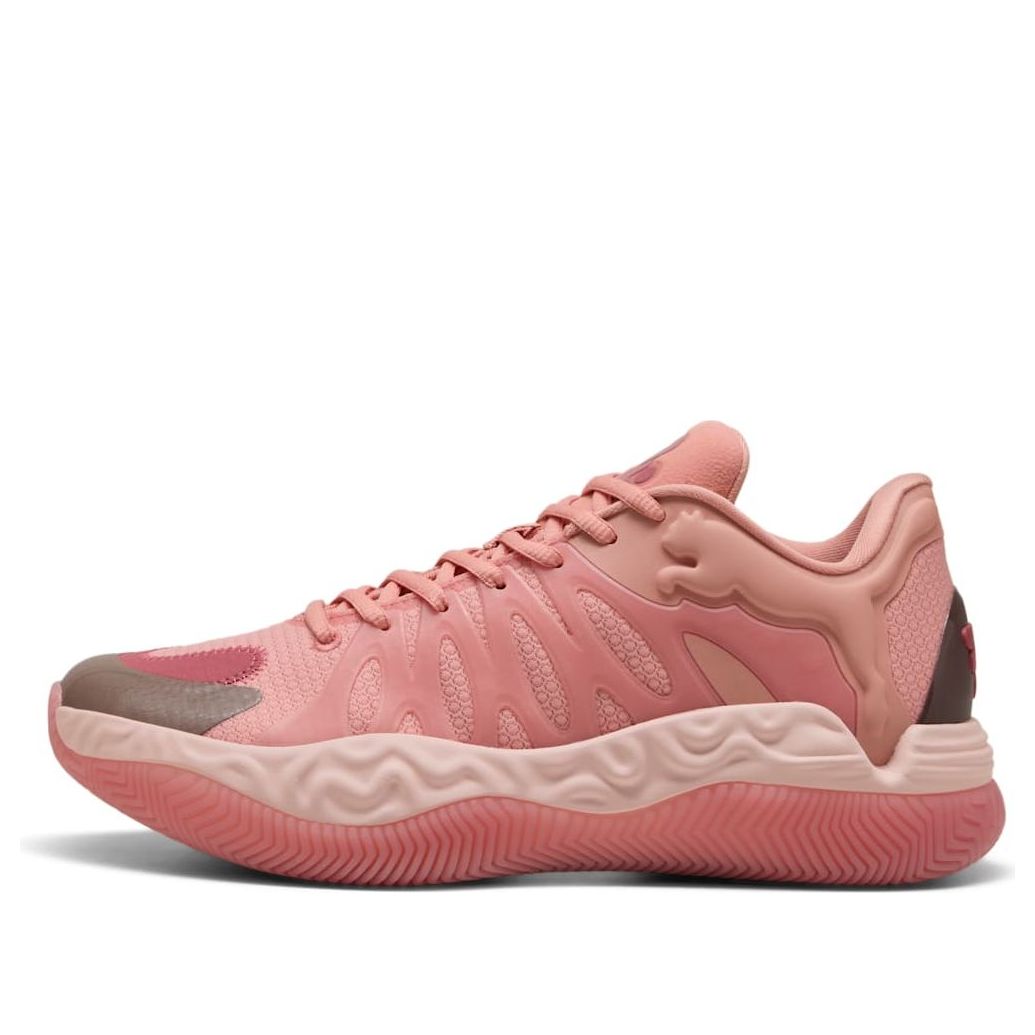 Puma Hali 1 'Гибискус'
Puma Hali 1 'Гибискус'