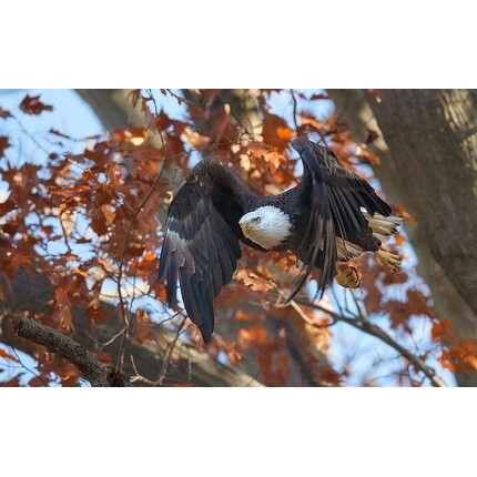 Витамин С 1000 мг + биоперин 1 мг, Singularis
Витамин С 1000 мг + биоперин 1 мг, Singularis