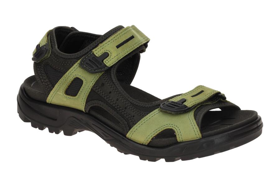 Мужские сандалии Ecco Offroad зеленые 069564
Мужские сандалии Ecco Offroad зеленые 069564