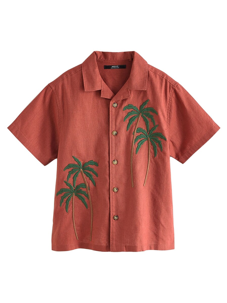 Рубашка на пуговицах классического кроя Next, коричневый
Рубашка на пуговицах классического кроя Next, коричневый