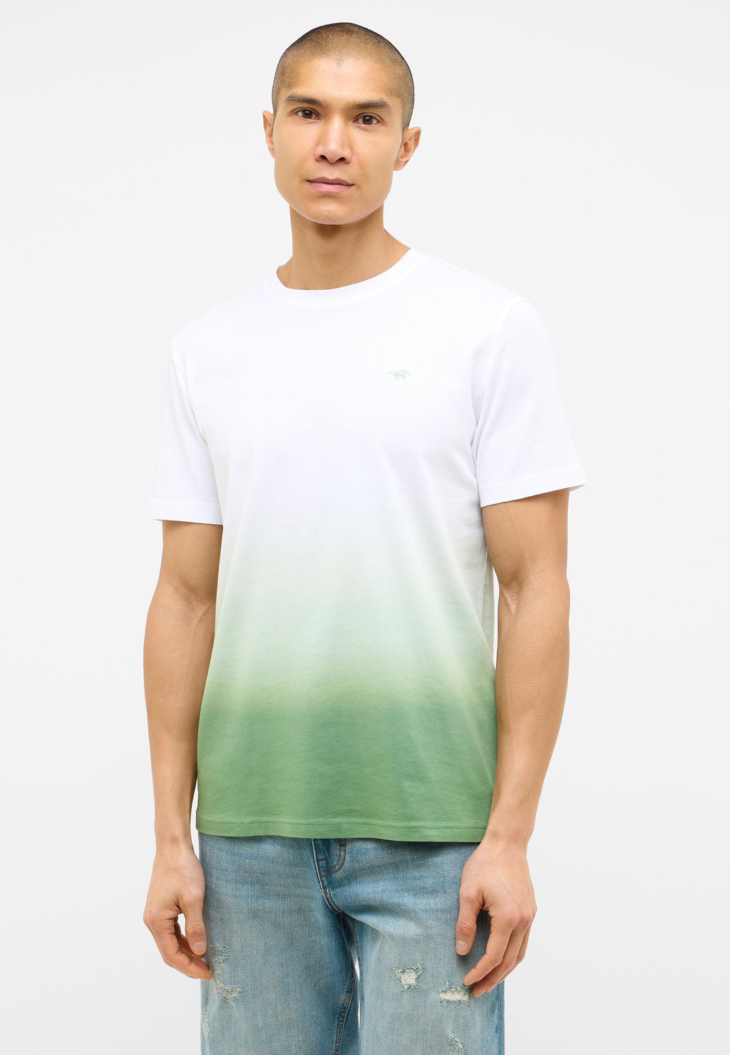 Футболка с принтом STYLE AUSTIN Mustang, светло-зеленый
Футболка с принтом STYLE AUSTIN Mustang, светло-зеленый