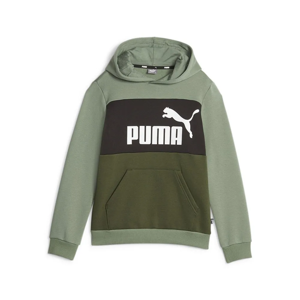 Худи Puma Ess Block Fl, зеленый
Худи Puma Ess Block Fl, зеленый