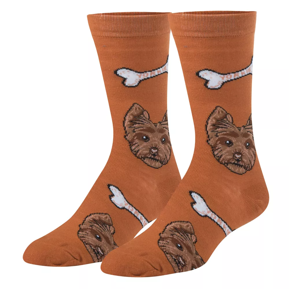 Crazy Socks, Yorkie, забавные новинки носки, средние
Crazy Socks, Yorkie, забавные новинки носки, средние