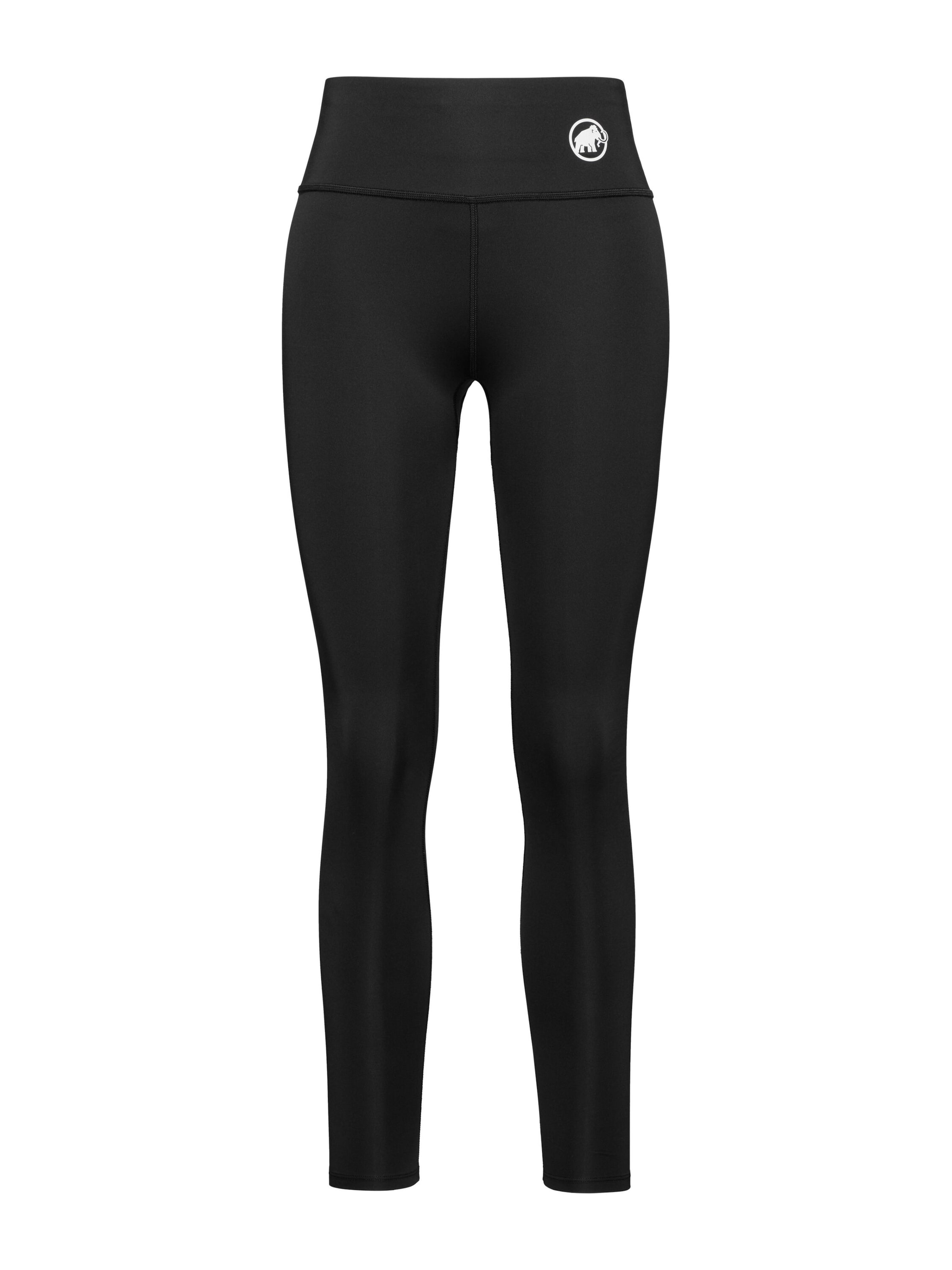 MAMMUT Леггинсы Regular Leggings в черном цвете
MAMMUT Леггинсы Regular Leggings в черном цвете