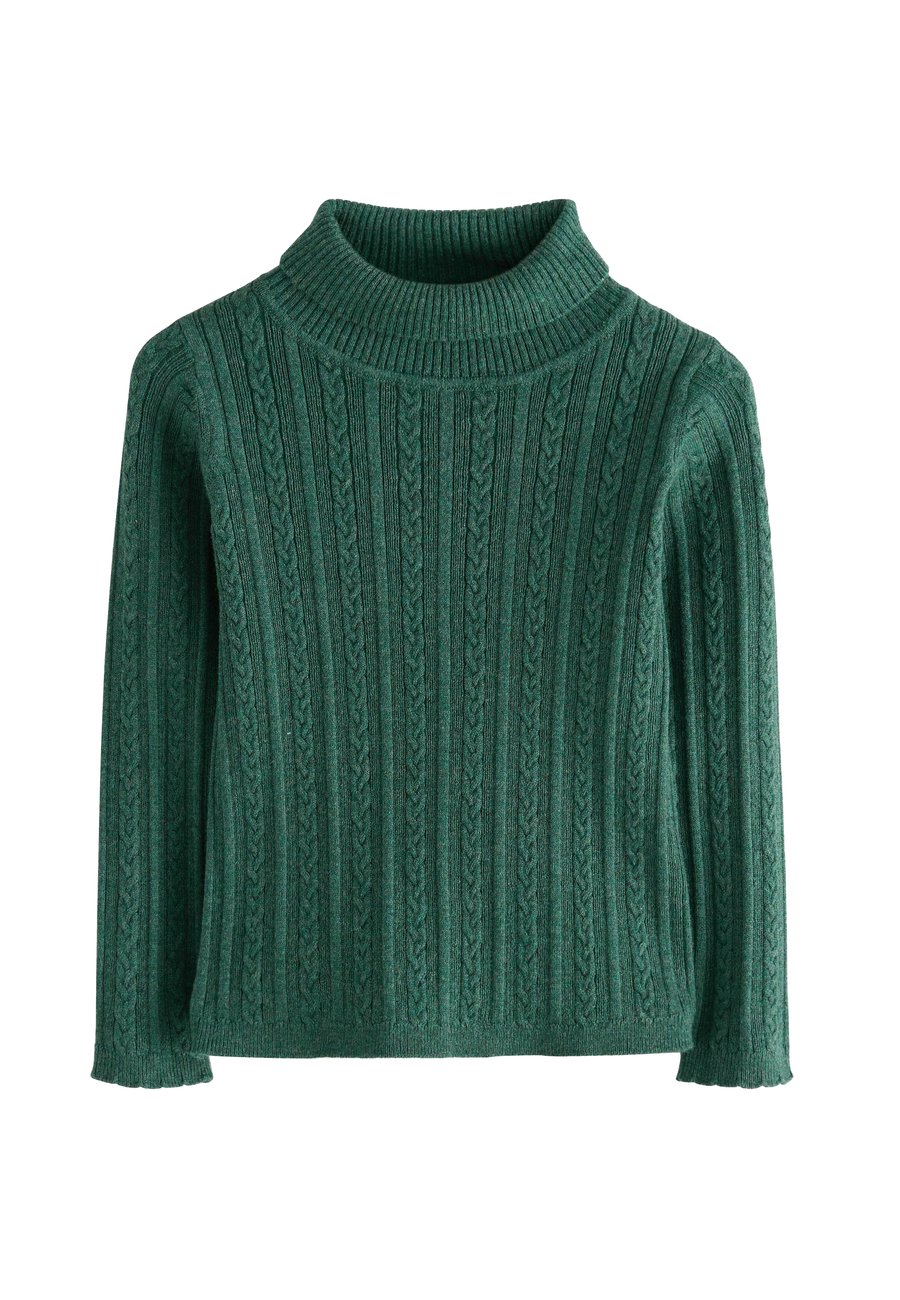 Джемпер Next REGULAR FIT-ROLL NECK, Dark Green/Green
Джемпер Next REGULAR FIT-ROLL NECK, Dark Green/Green