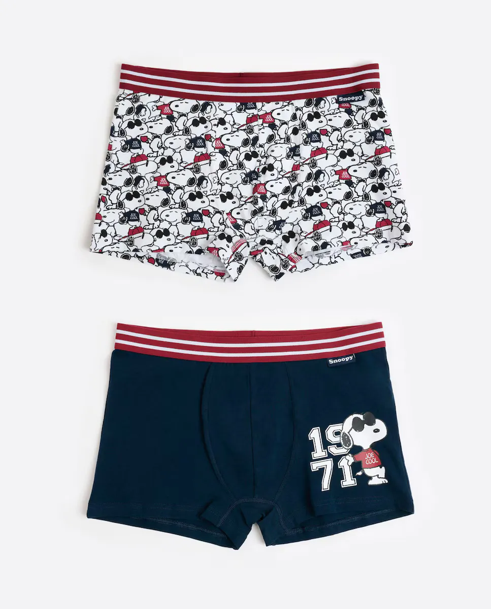 Упаковка из двух мужских трикотажных трусов-боксеров разных цветов Peanuts, мультиколор
Упаковка из двух мужских трикотажных трусов-боксеров разных цветов Peanuts, мультиколор