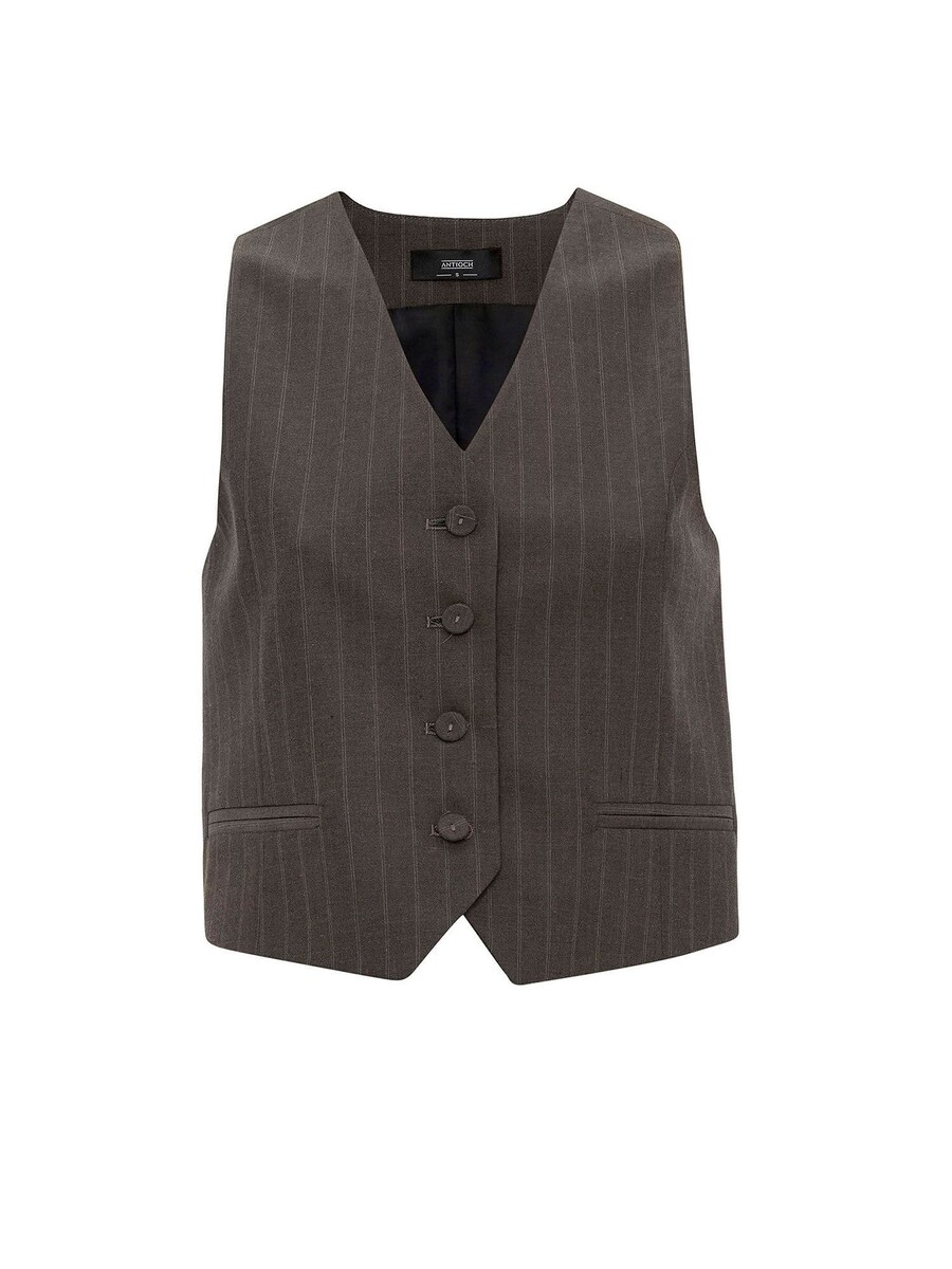 Жилет Antioch Alessia, коричневый
Жилет Antioch Alessia, коричневый