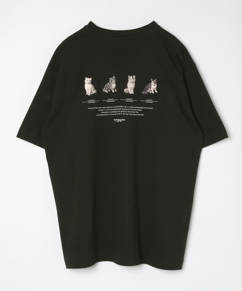 Футболка с графическим принтом, короткий рукав GLOBAL WORK, черный
Футболка с графическим принтом, короткий рукав GLOBAL WORK, черный