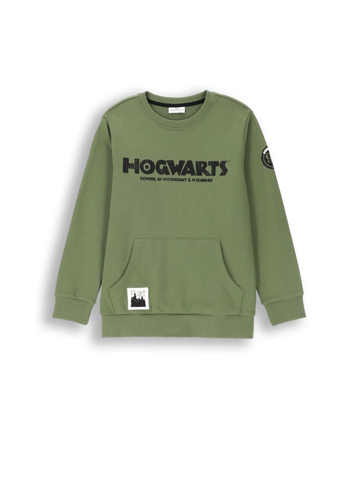 Толстовка Coccodrillo, зеленый
Толстовка Coccodrillo, зеленый