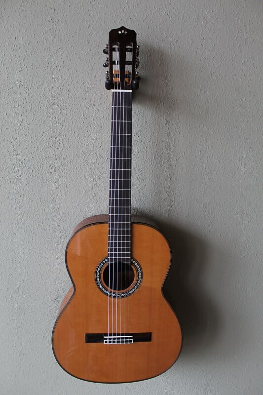 Акустическая гитара Brand New Cordoba C9 Crossover Nylon String Classical Guitar - Cedar Top
Акустическая гитара Brand New Cordoba C9 Crossover Nylon String Classical Guitar - Cedar Top