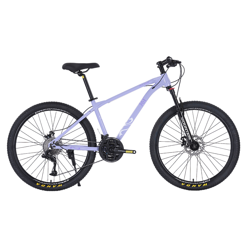 Горный велосипед Infinity AS 01 AM Disc Brake для города и отдыха, унисекс 361°, nebula purple
Горный велосипед Infinity AS 01 AM Disc Brake для города и отдыха, унисекс 361°, nebula purple