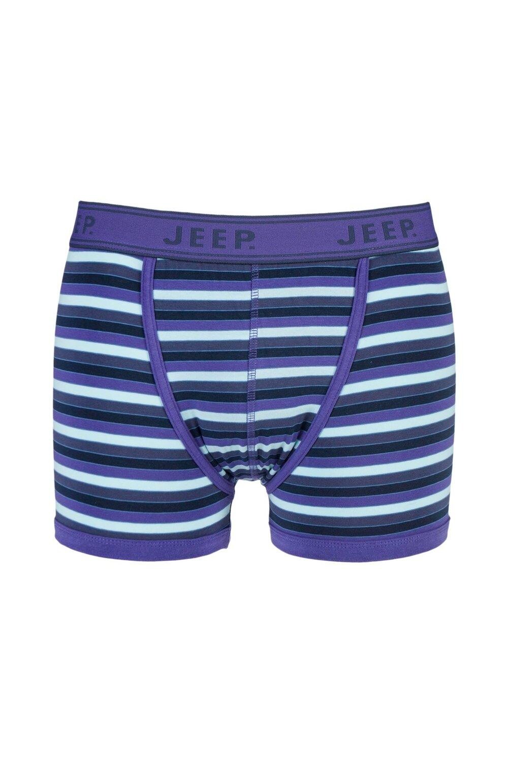 1 пара плавок Spirit из хлопка в полоску Jeep, синий
1 пара плавок Spirit из хлопка в полоску Jeep, синий