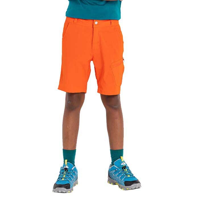 Шорты Dare2B Reprise II, оранжевый
Шорты Dare2B Reprise II, оранжевый