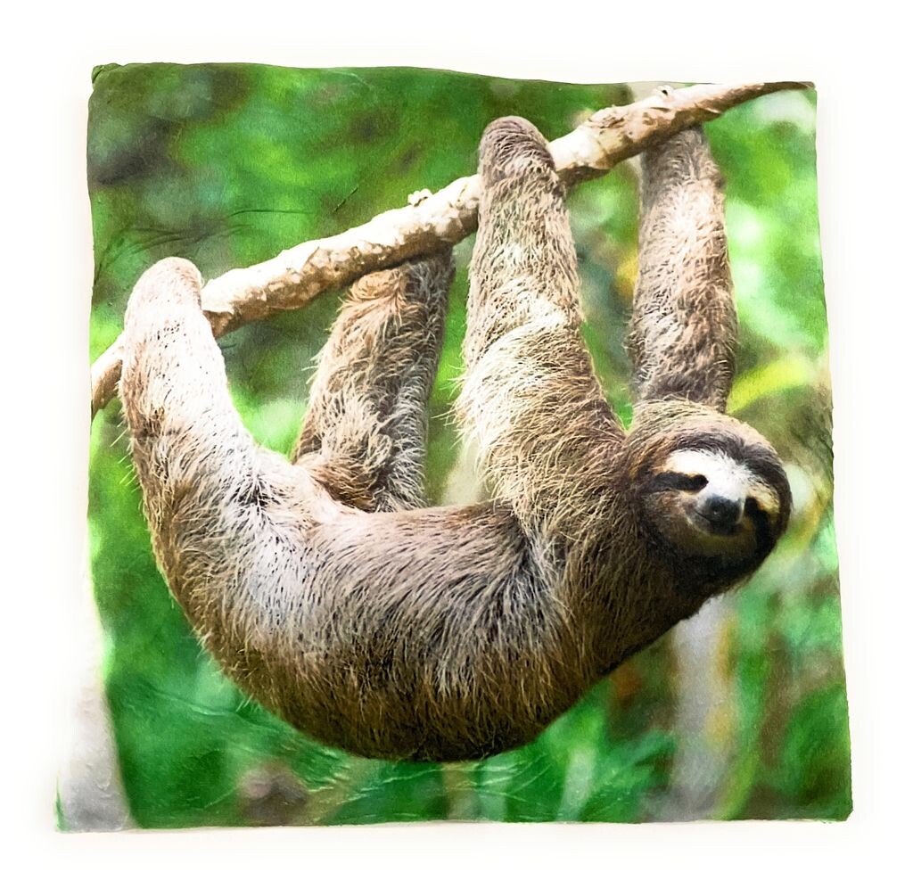 On Womania Sloth Милая милая плюшевая подушка для дивана или кровати в качестве украшения или приятная подушка 35 x 35 см Onwomania
On Womania Sloth Милая милая плюшевая подушка для дивана или кровати в качестве украшения или приятная подушка 35 x 35 см Onwomania